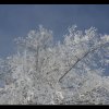 20060212_065